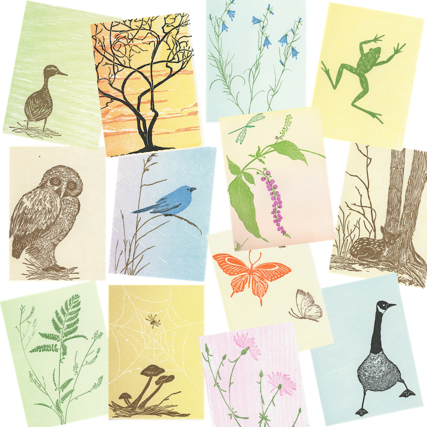 Block Printing, Nature Prints & Note Cards | Gwen Frostic Prints